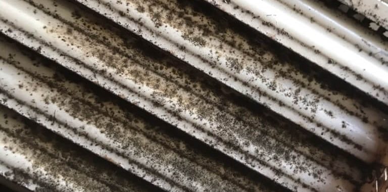 air-duct-Mold